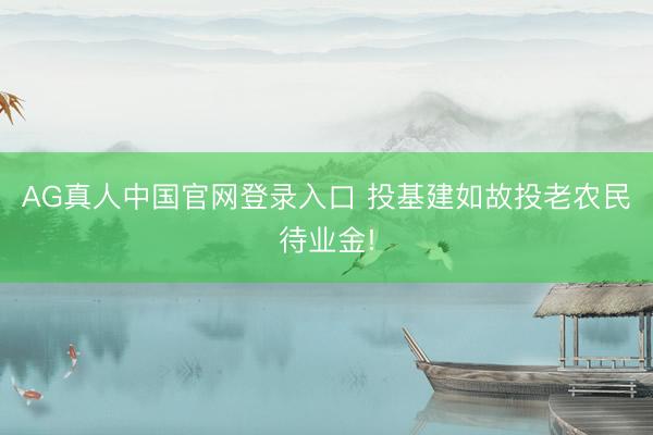 AG真人中国官网登录入口 投基建如故投老农民待业金!