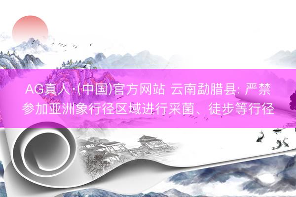 AG真人·(中国)官方网站 云南勐腊县: 严禁参加亚洲象行径区域进行采菌、徒步等行径