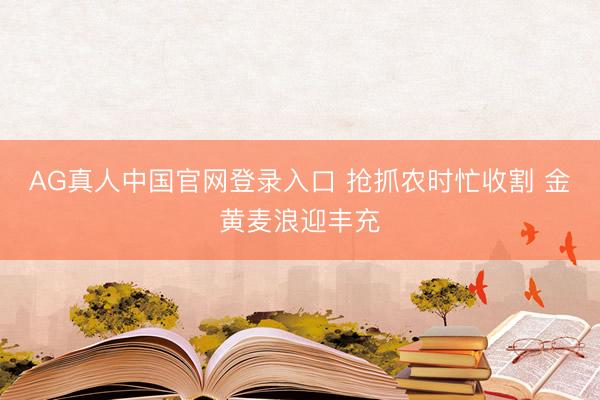 AG真人中国官网登录入口 抢抓农时忙收割 金黄麦浪迎丰充