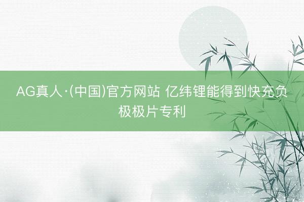 AG真人·(中国)官方网站 亿纬锂能得到快充负极极片专利