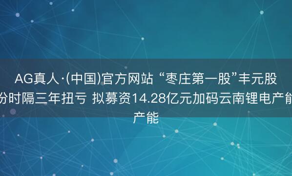 AG真人·(中国)官方网站 “枣庄第一股”丰元股份时隔三年扭亏 拟募资14.28亿元加码云南锂电产能